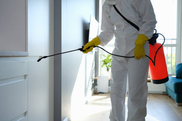 Why You Should Choose Our Mold Remediation Services in Fulton, TX