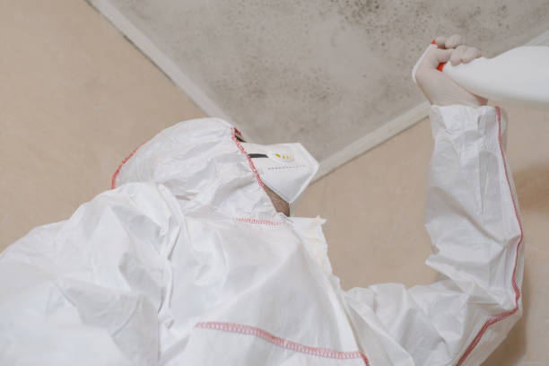 Biohazard Mold Removal in Fulton, TX